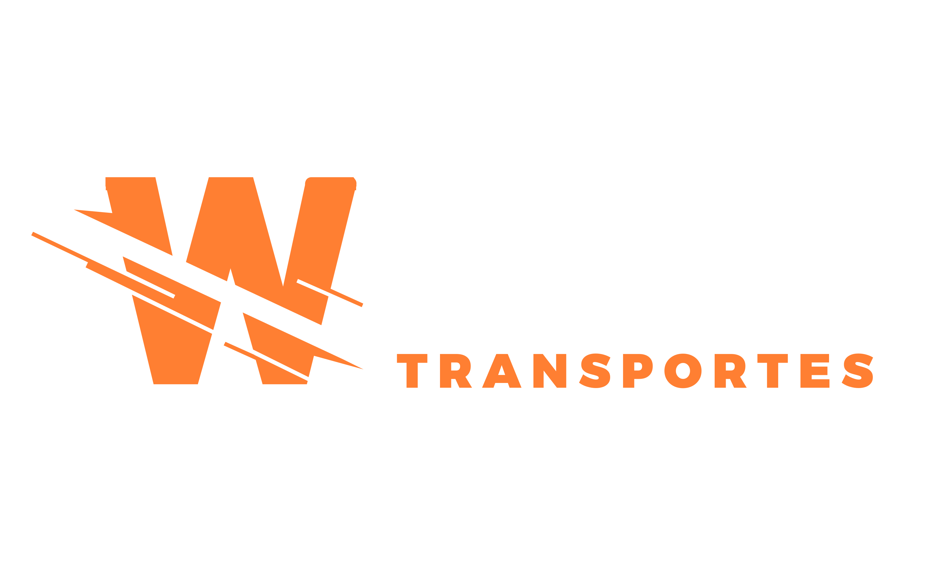 W Ávila Transportes